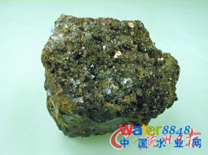 　　一塊含鉑的金銀礦石�！　。ㄙY料圖片）