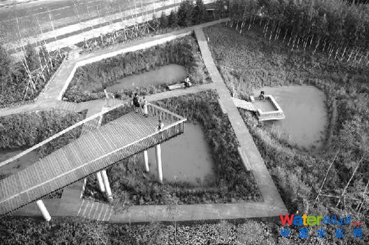 圖為:建成“海綿城市”后,“下沉式綠地”將點綴城市角落(資料圖片)