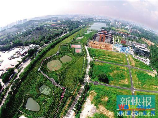 到天河智慧城大觀濕地 看廣州第一個(gè)海綿城市（1）