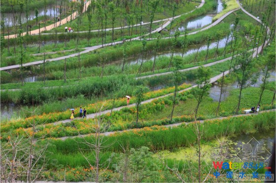 六盤水水城及明湖濕地景觀第4張圖片