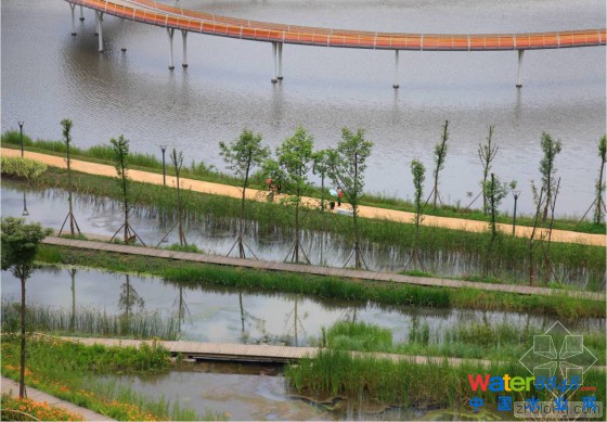 六盤水水城及明湖濕地景觀第14張圖片