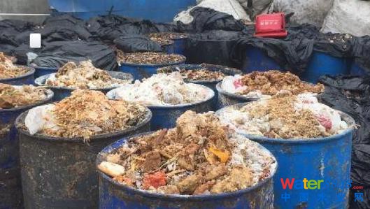 上海多地餐廚垃圾違規(guī)賣給養(yǎng)殖場 喂豬吃肯德基