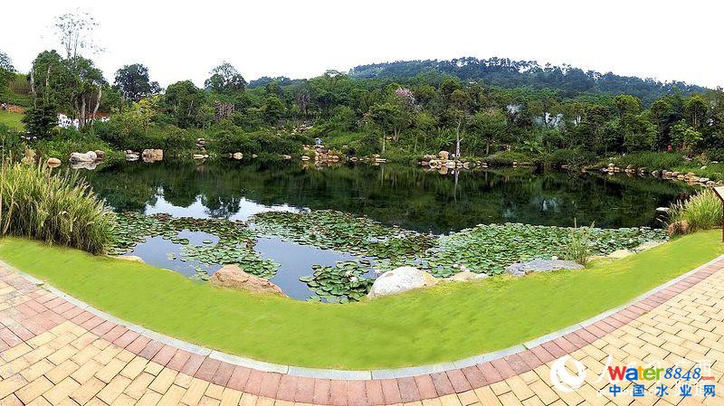 經過海綿化改造的南寧青秀山蘭園