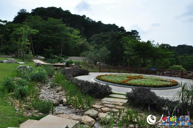 經過海綿化改造的南寧石門森林公園一角