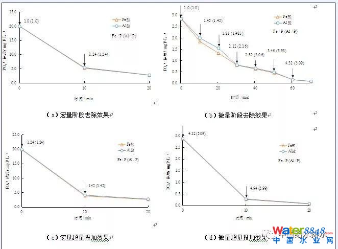 D2 W(xu)^(gu)