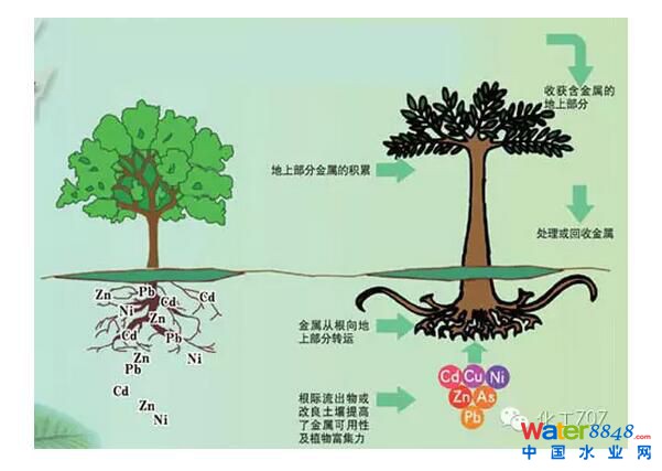 鐐瑰嚮鎵撳紑鍘熷浘