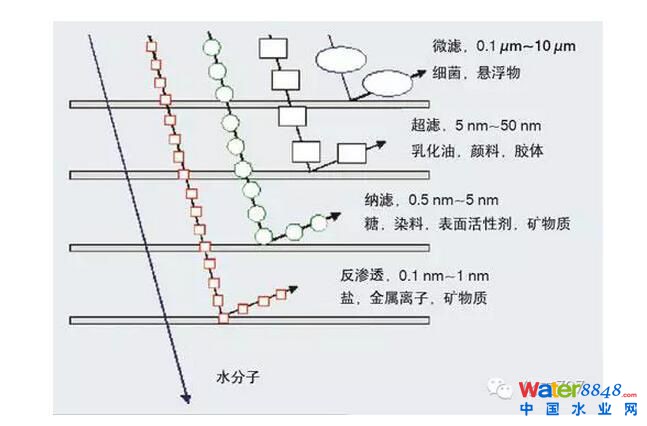 鐐瑰嚮鎵撳紑鍘熷浘