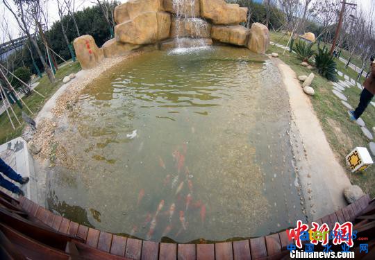 進(jìn)行第二次處理后的水可以用于養(yǎng)魚、澆花�！⊥蹶魂� 攝
