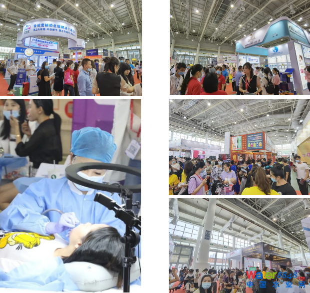 2021BT(mn)F(xin)(chng)01