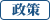 政策