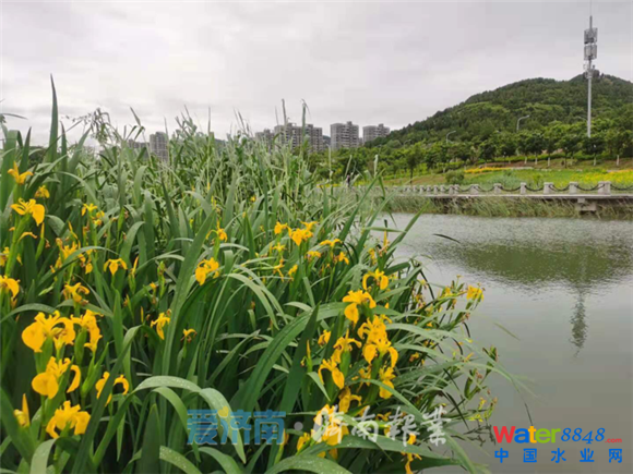 闂傚倸鍊搁崐鎼佸磹閹间礁纾归柟闂寸绾惧綊鏌熼梻瀵割槮缁炬儳缍婇弻锝夊箣閿濆憛鎾绘煕閵堝懎顏柡灞剧洴楠炴﹢鎳犻澶嬓滈梻浣规偠閸斿秶鎹㈤崘顔嘉﹂柛鏇ㄥ灠閸愨偓濡炪倖鍔﹀鈧紒顔煎缁辨挻鎷呴幓鎺嶅濠电姰鍨煎▔娑㈩敄閸曨厽宕查柛鈩冪⊕閻撳繘鏌涢锝囩畺闁革絾妞介弻娑㈡晲閸涱喛纭€缂備浇椴哥敮锟犲箖閳哄懏顥堟繛鎴炲笚閻庝即姊绘担鍛婃儓闁活剙銈稿畷浼村冀椤撶姴绁﹂梺纭呮彧缁犳垹绮诲☉銏♀拻闁割偆鍠撻埊鏇熴亜閺傚灝顏慨濠勭帛閹峰懘宕ㄦ繝鍌涙畼濠电儑绲藉ú锕€顪冩禒瀣櫜闁绘劖娼欑欢鐐烘煙闁箑鍔﹂柨鏇炲€归悡鏇㈡煛閸ャ儱濡奸柣蹇曞█閺屾稑螖閸曨剛褰ф繛锝呮搐閿曨亝淇婇崼鏇炵<婵﹩鍋勯ˉ姘節閻㈤潧浠滈柣掳鍔庨崚鎺戭吋婢跺﹦锛熼柣搴℃贡婵攱绂嶅▎鎾粹拻濞达綀娅g敮娑㈡煥閺囨ê鐏╁畝锝堝劵椤﹀磭绱掗崒娑樼瑨妤楊亙鍗冲畷銊╊敍濠婃劗搴婃繝鐢靛О閸ㄧ厧鈻斿☉銏℃櫇闁挎柨澧介惌鎾寸箾瀹割喕绨奸柣鎾跺枑缁绘盯骞嬪┑鍡氬煘闂佸搫顑嗛惄顖炲箺閸洘鏅插璺侯儑閸欏嫰妫呴銏″闁告垹鎳撳玻鍧楀箛椤撶姷顔曢梺鍓插亖閸庢娊鎮鹃悜妯诲弿濠电姴鍟妵婵囶殽閻愬澧甸柟顔界懇楠炴捇骞掗幋顓熺秿闂傚倸鍊风粈渚€骞栭锕€绠悗锝庡亞椤╂煡鏌i幇顒€妫橀柨婵嗩槸缁犳盯鏌eΔ鈧悧蹇涘礉閸洘鍊垫鐐茬仢閸旀碍淇婇銏㈢劯妤犵偛绻掔槐鎺懳熼懖鈺婂晭闂佸搫顦悧鍡樻櫠娴犲绀嗗ù鐓庣摠閻撴瑩鎮归崶鍥ф噽閻﹀牓鎮楃憴鍕闁搞劌鐖奸獮鍐ㄢ枎閹炬潙娈ゅ銈嗗笂閻掞箓鎮鹃悜鑺モ拻濞达絿鎳撻婊呯磼鐠囨彃鈧潡鐛繝鍛杸婵炴垶岣块敍娑㈡⒑闂堟冻绱¢柍褜鍓熷畷鎴﹀箻閼搁潧鏋傞梺鍛婃处閸撴盯藝椤撶喓绡€闁冲皝鍋撻柛鏇炵仛閻や礁螖閻橀潧浠滄俊顐g箓椤曪綁顢氶埀顒€鐣烽悡搴樻斀闁割偅绻傛瓏闂傚倷娴囧畷鍨箾閳ь剛绱撻崒娑滃闁宠绉归弫鎰板炊閳哄啰鍘犳繝鐢靛仜濡﹥绂嶅┑瀣亗婵炴垶鈼よぐ鎺撴櫜闁割偒鍋呯紞鍫ユ倵鐟欏嫭绀€闁活厼鍊垮濠氬焺閸愨晛顎撻柣鐔哥懃鐎氼剛澹曢幎鑺モ拺閺夌偞澹嗛崝宥夋煙閻熺増鍠樼€殿噮鍋婇獮妯肩磼濡粯顏熼梻浣芥硶閸o箓骞忛敓锟�