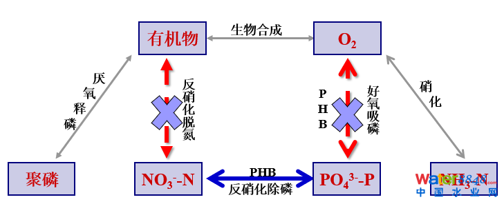 闂傚倷鑳剁划顖炲礉濡ゅ懎绠犻柟鎹愵嚙閸氳銇勯弴妤€浜惧Δ鐘靛仜缁夊綊鐛Ο铏规殾闁搞儮鏅槐閬嶆⒒娴e憡鍟炲畝锝呮健瀹曠増鎯旈埈璺虹秺閺佹捇鏁撻敓锟� 從幾個常見現(xiàn)象談污水處理廠設(shè)計和運(yùn)行的精細(xì)化問題
